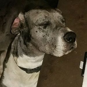 Meet your Posher, Tracey